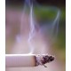 Synergie Anti-tabac floressence